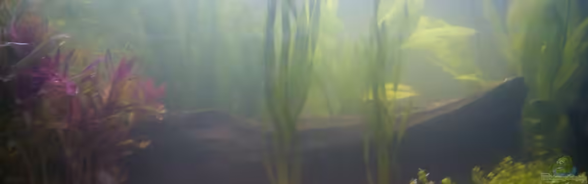 Mein Südamerika von Andreas Geitmann