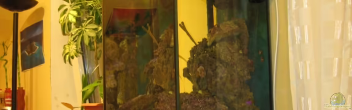 Mein Traum 96L von Christian Schneider