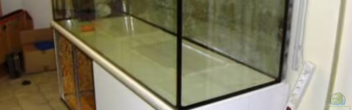 mein traum von breakfastklubber