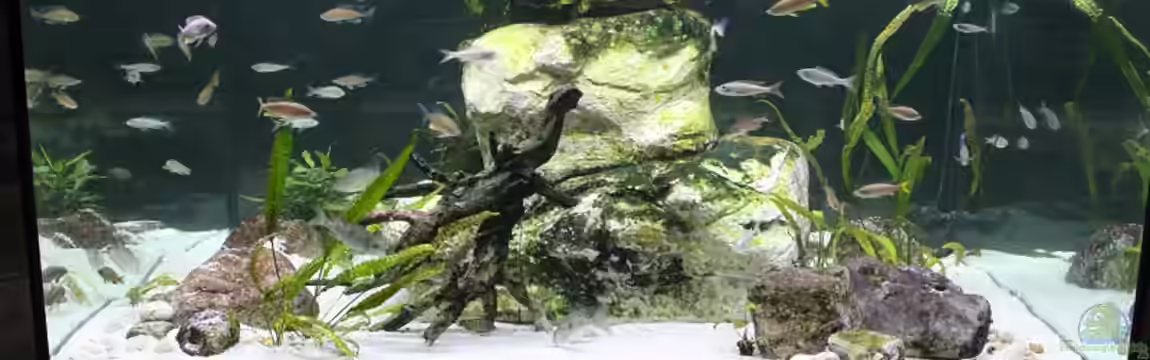 Mein Wohnzimmersee von Jörg