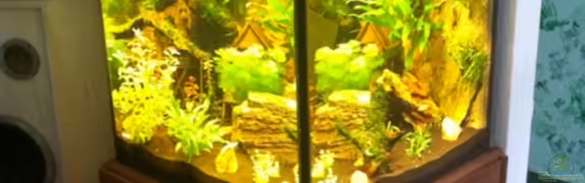 Mein Würfel von AV-Aquaristk