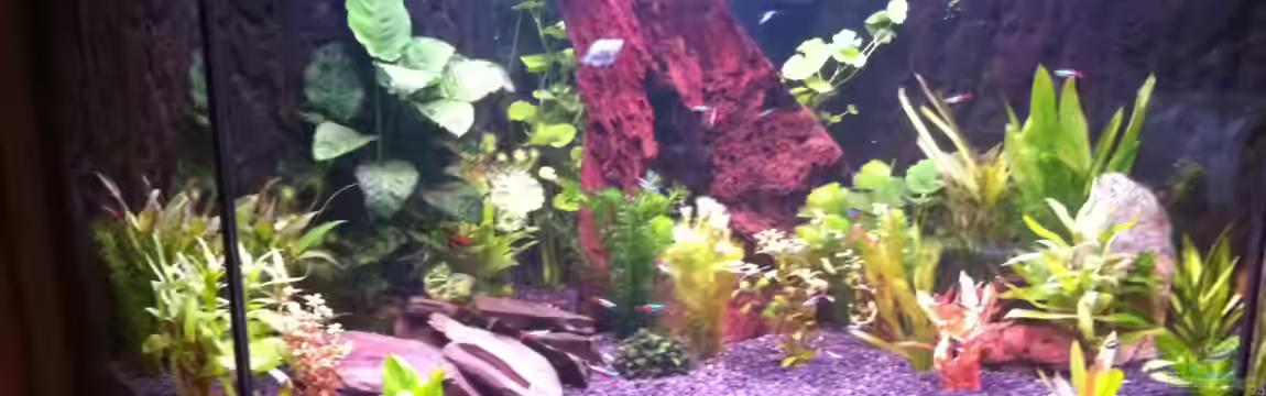 Mein zweites von StefanO13