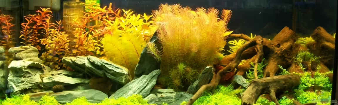 Meine Ruhezone von sascha74