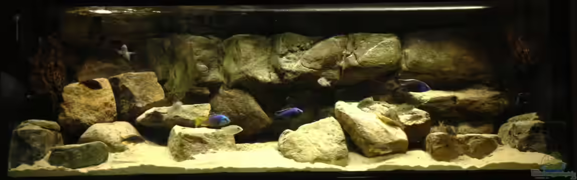 Micha´s Malawi Tank (Nur noch als Beispiel) von TheToxicAvenger