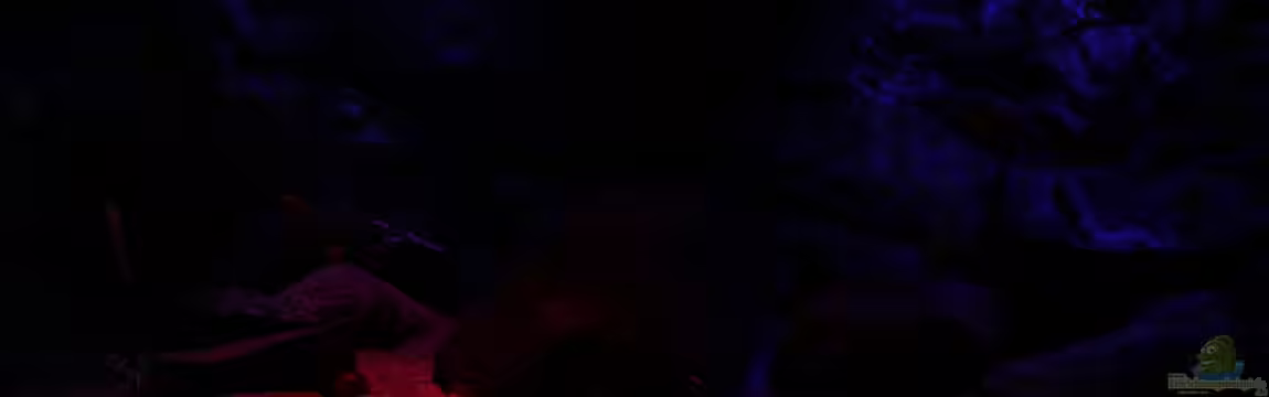 Michel´s Waterworld von Michael Reiz