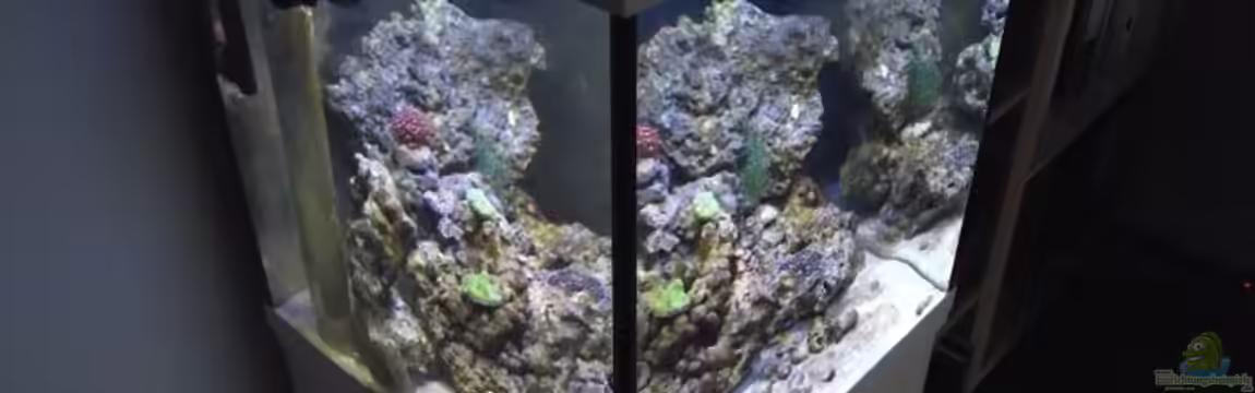 Midi-Cube Meerwasser von Dr. Manhattan