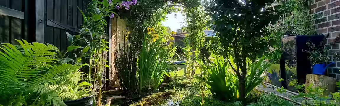 Mini Naturteich von ninfa