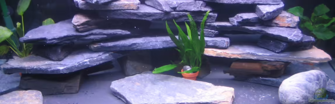 minimalawi von mbunatico