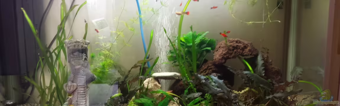 Misch Masch von mamo2000