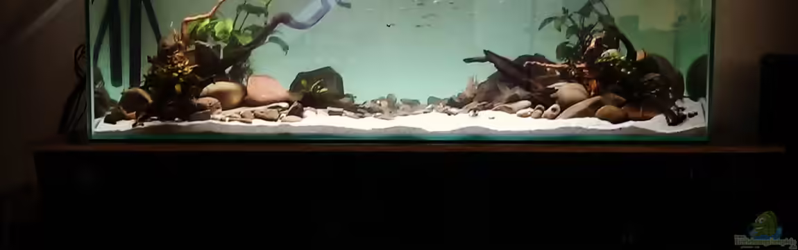 Mittelamerika / Aquascape von Dubfocus