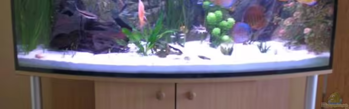 Mittelamerika von Dirk Bauer