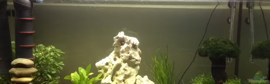 moderne Unterwasserwelt von Flipstar