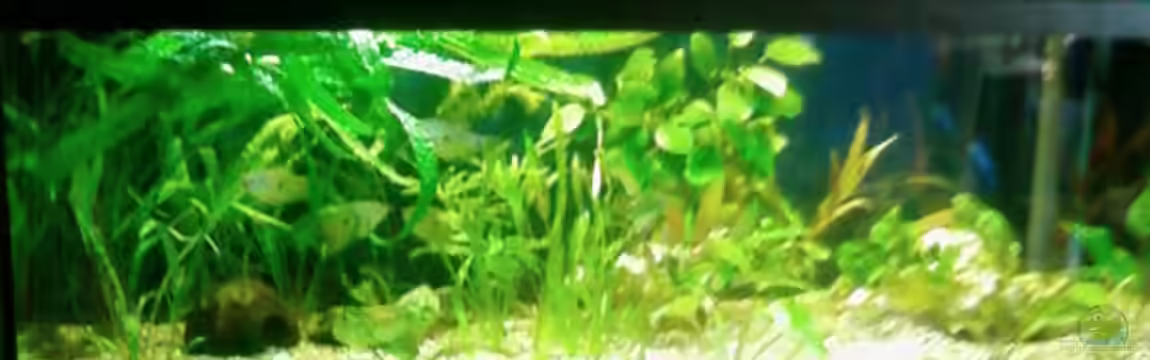 MOINS von Kevin Knoll