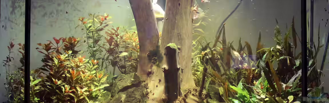 Monument von Triameh