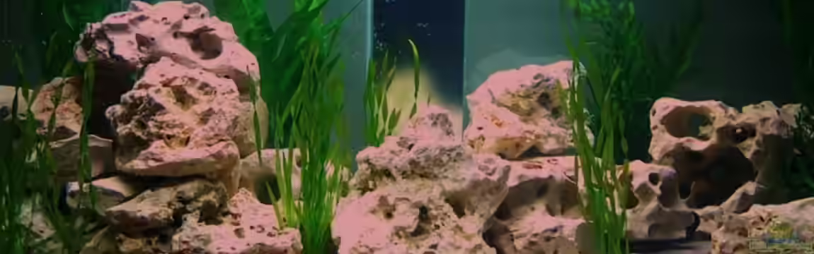 mp Scubabay von Rudi Zettl