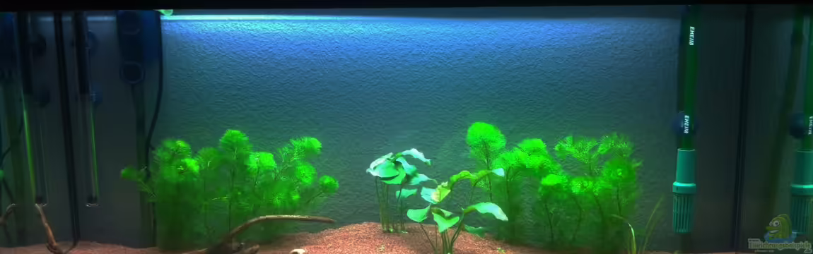 MP-scubaline 180 von Hotliner90