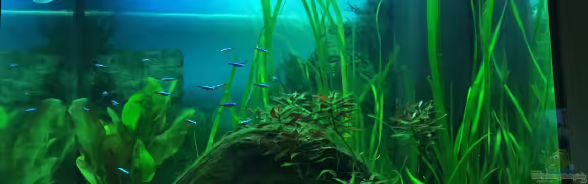 #MutterTochterProjekt von IL