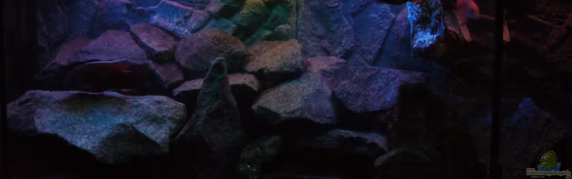 My World of Malawi von Marcel.