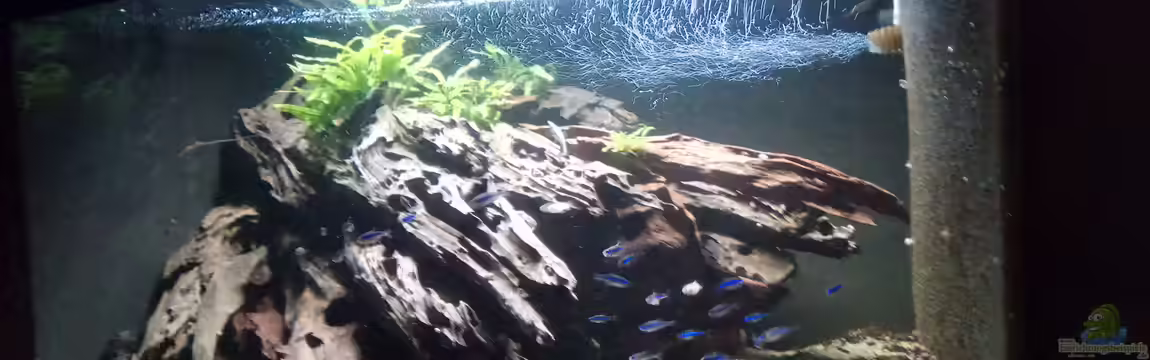 Namenlos II von Fichte