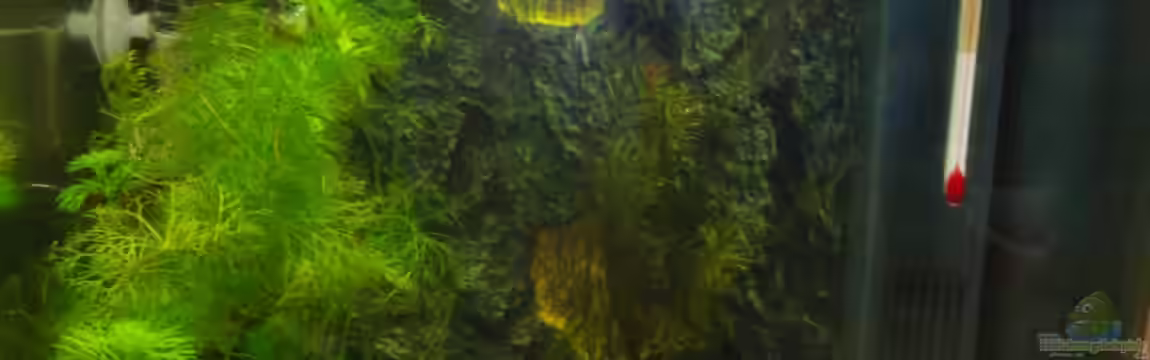 Nano 1 von Poldi1981