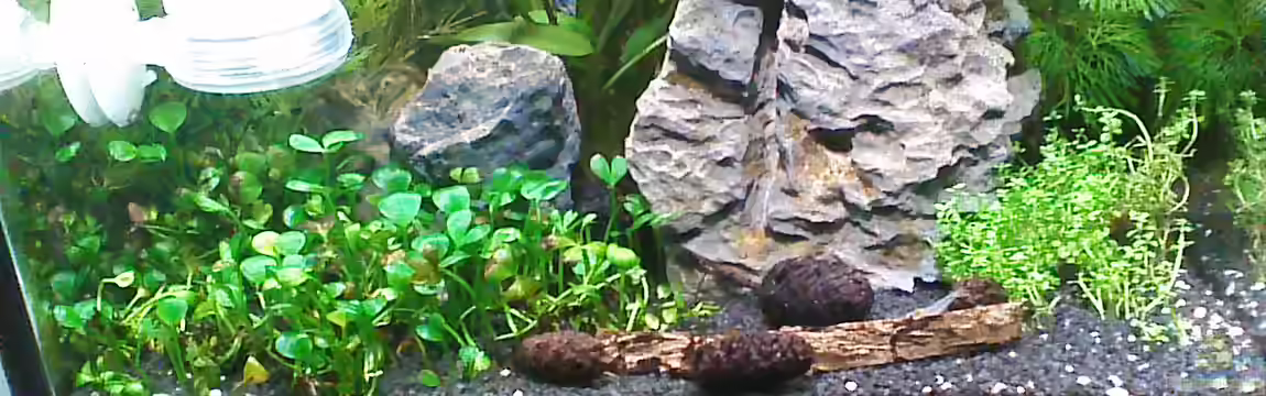 Nano Becken von Nano73