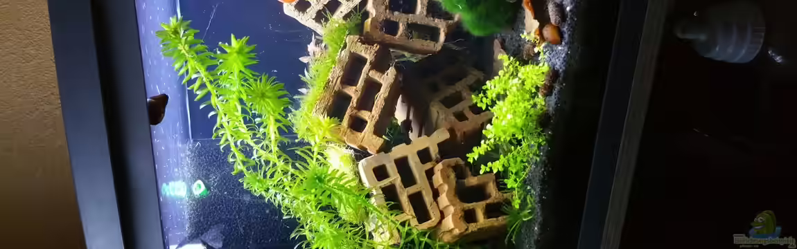 Nano II von Lucky3310