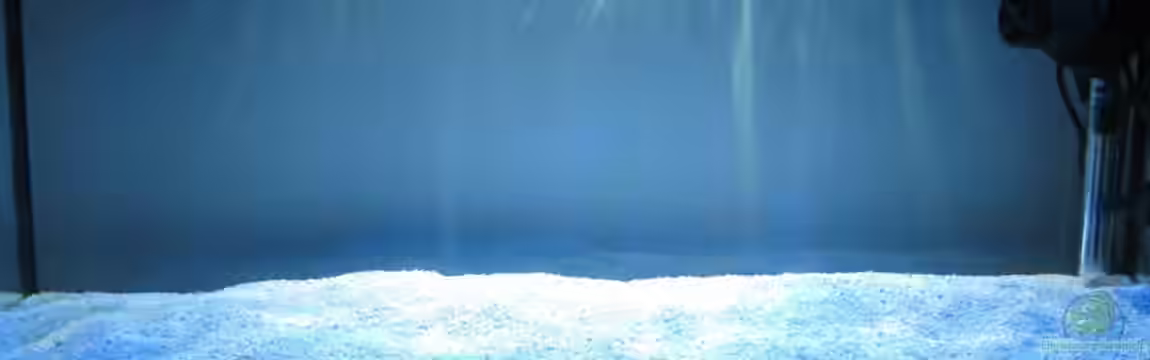 Nano Meerwasseraquarium von Mibado