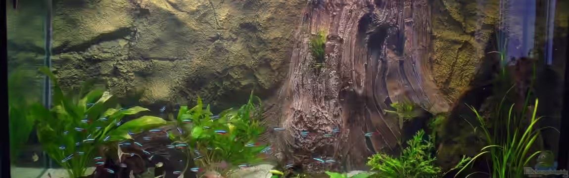 Neueinrichtung nach Umzug von Randsteinwetzer