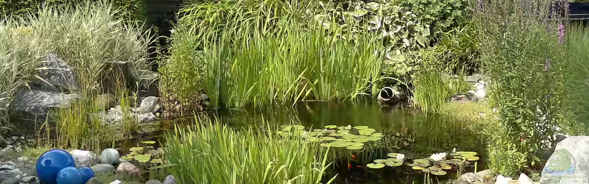 "Neulich im Ruhrpott...." von Sambia