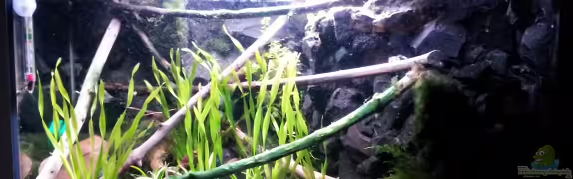 Newbie`s Waterworld von Newbie