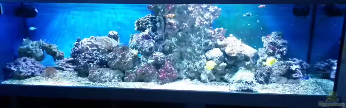 NewHomeForDoc von Wiege