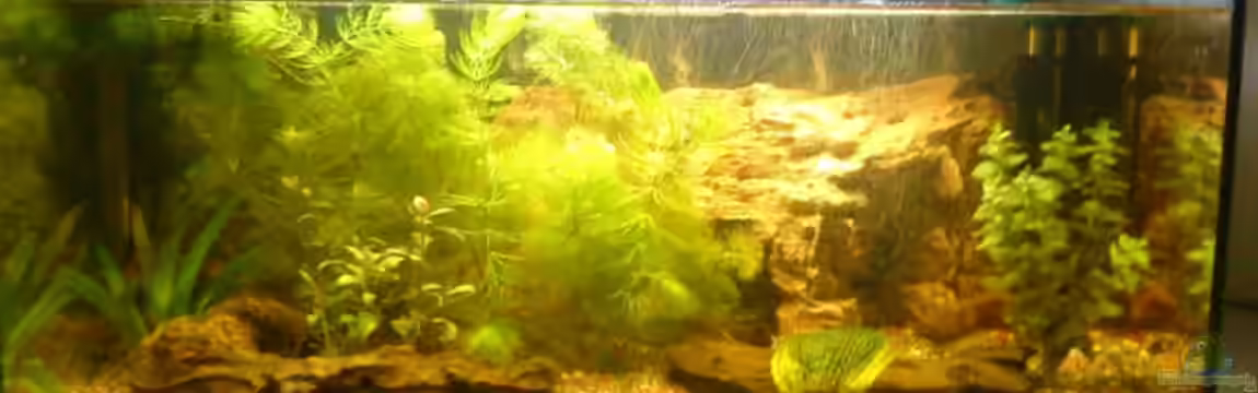 NICHT MEHR AKTIV von Iuke