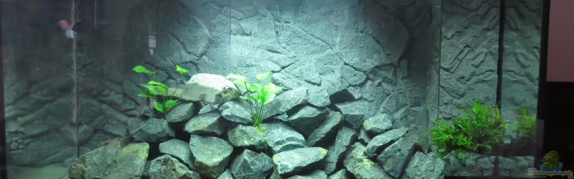 Nürnberg-Malawi von Vfb69