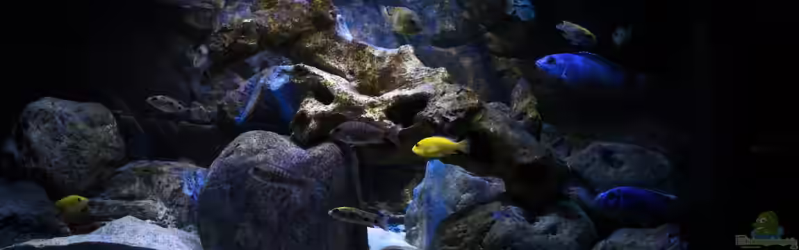 Nur noch als Beispiel von Steffen G