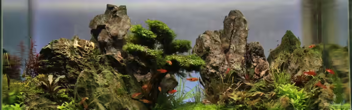 On The Rocks von LouFe