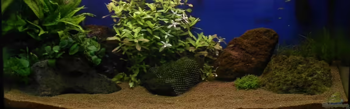 OPEN WORLD ² von I.R.C.H.A