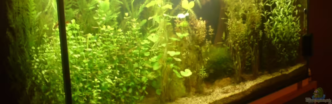 Ostasien von Dennis Kubiak