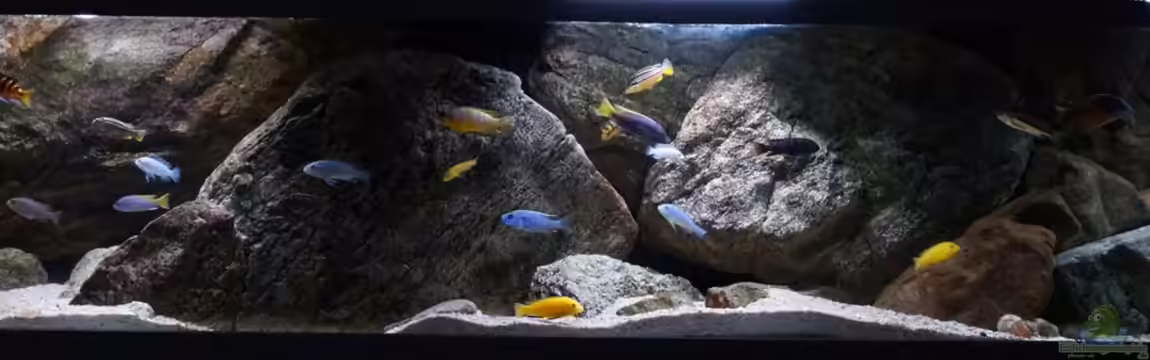 pakati pa miyala von TheToxicAvenger