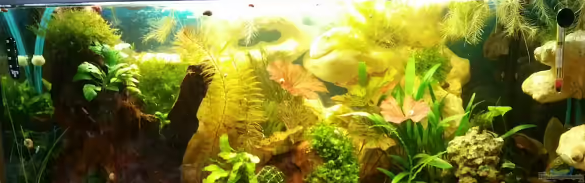 Panorama Aquarium von Sandra 1980