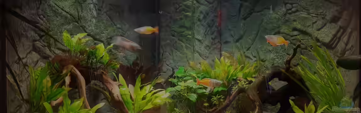 Paradise Edge Obsolete von The_Lizardking