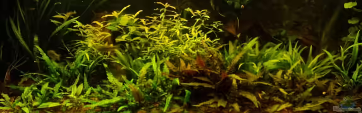 Paradoxworld von FrankenTho