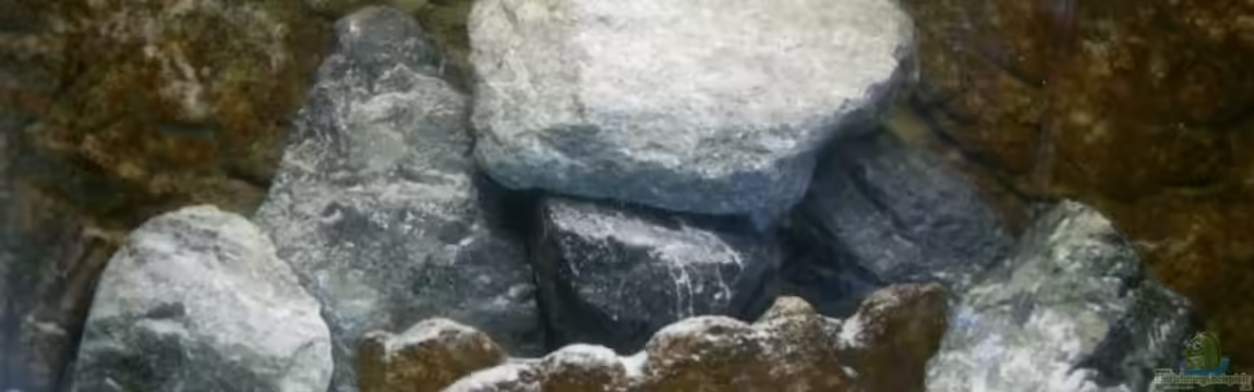 Parteeey Becken von Dr. Manhattan