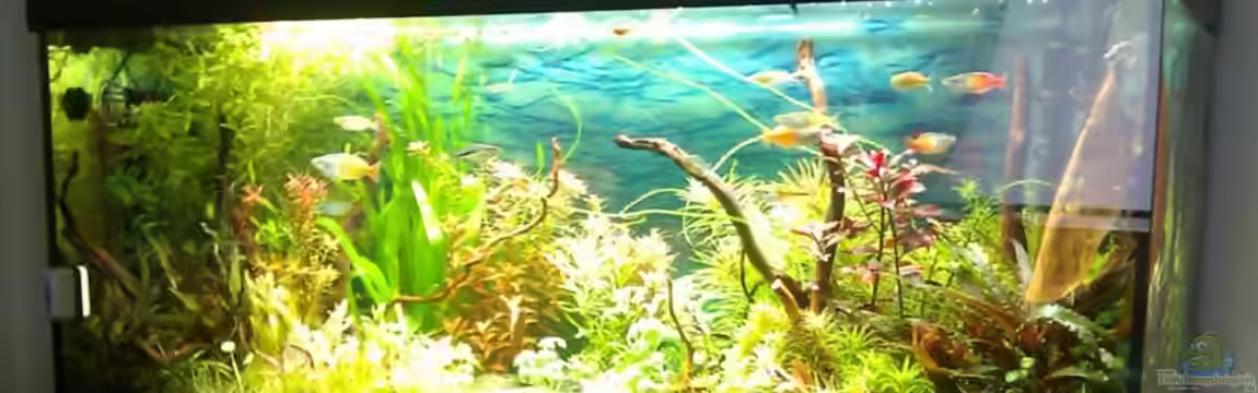 Pascals Scuba von Pascal W.