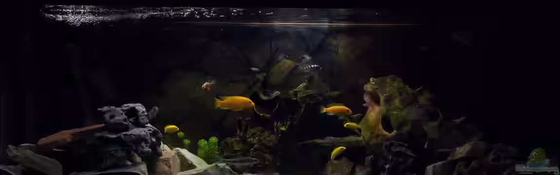 personal dream von Philipp Mikuletz