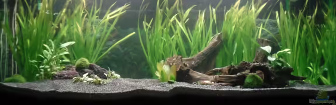 Picards Unendliche Welten von Picard