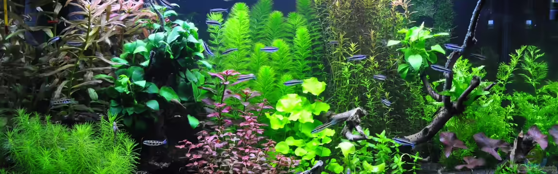 Planted world von Michael Z.