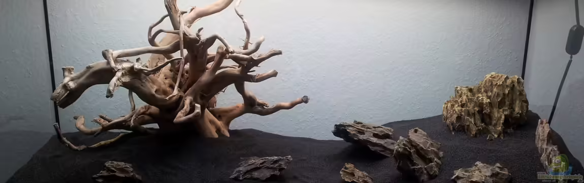 Planungsdaten Baum und Berg von slowmoe