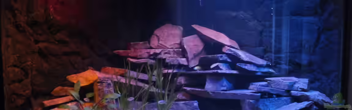 Porphyr Rocks von Slay