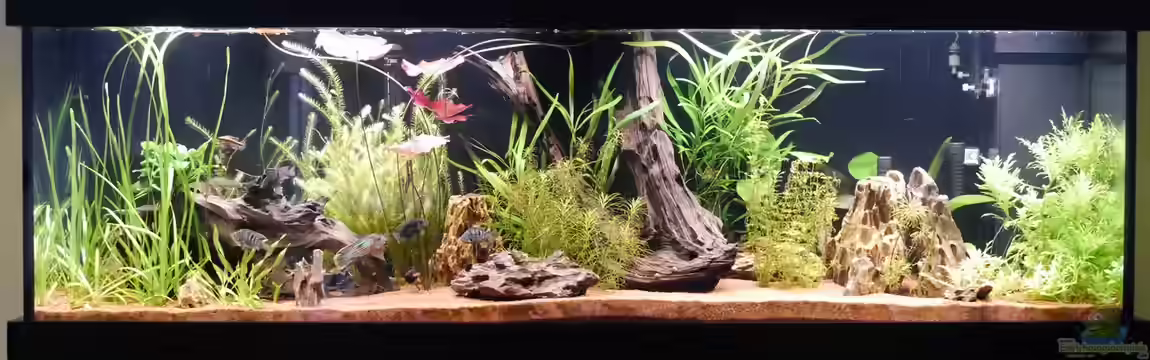 Project Family-Tank von Christof Engel