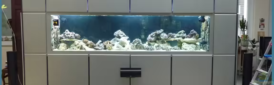 Project in der Firma von OldFriend